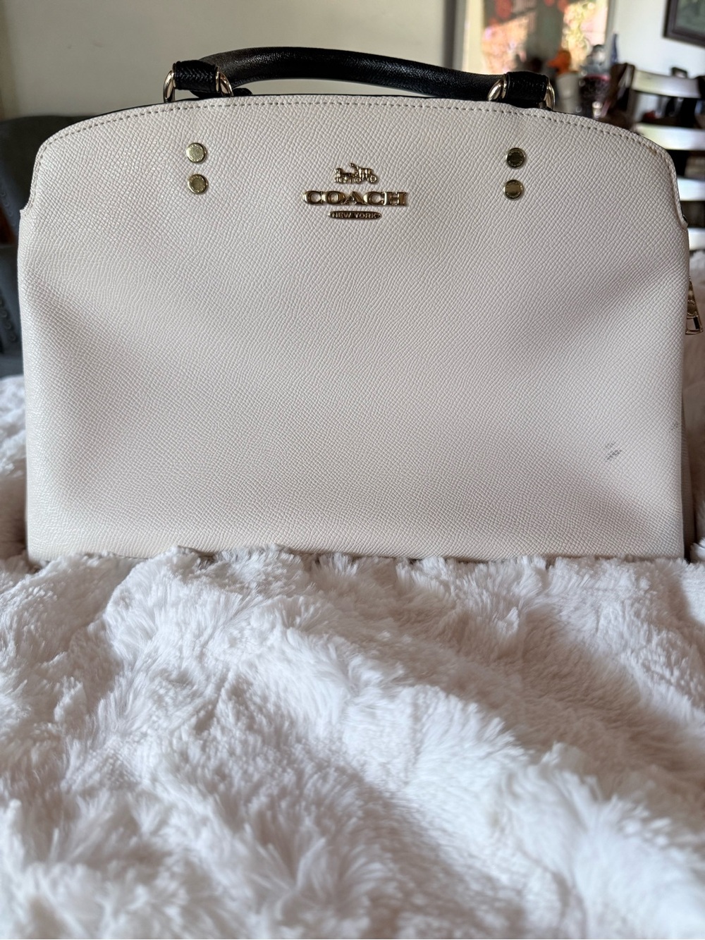 COACH Lillie Carryall Tote